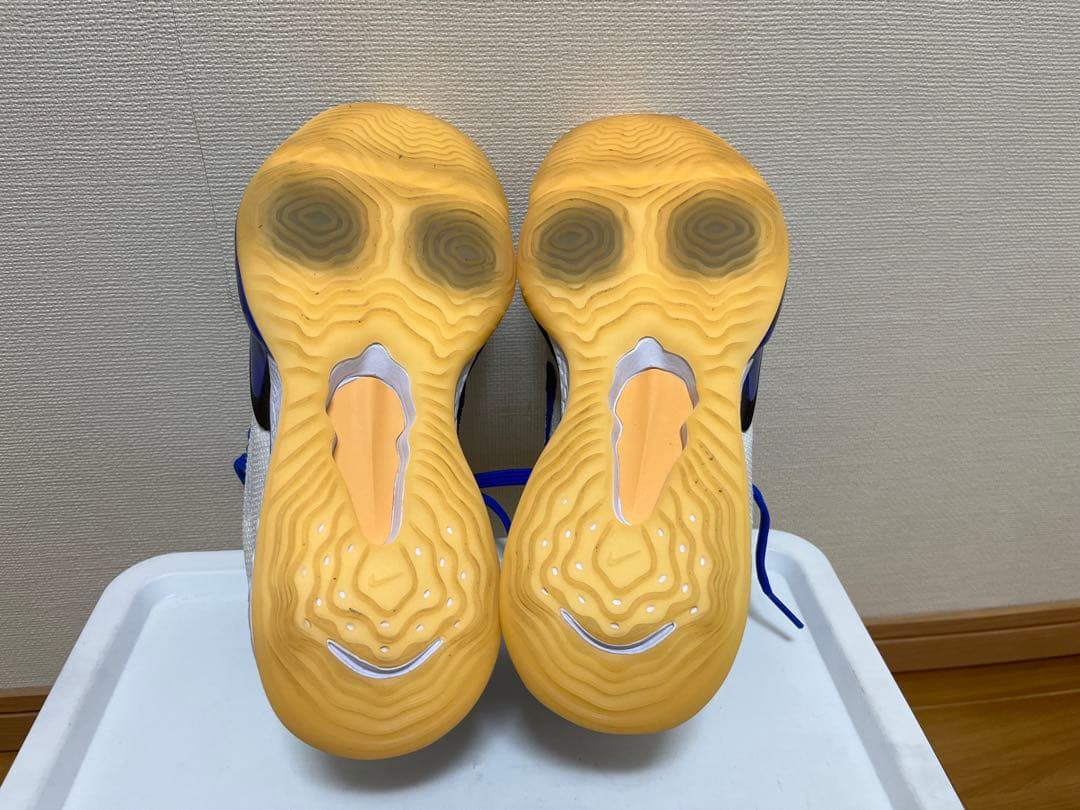 シューズ(男性用) NIKE AIR ZOOM BB NXT DB9990-100