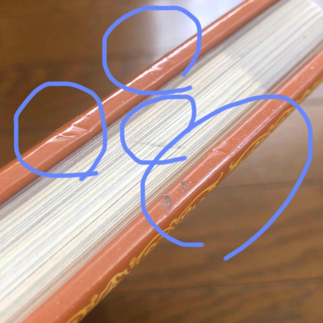 Кулинарное искусство 料理本 洋書　ロシア？　ロシア語？