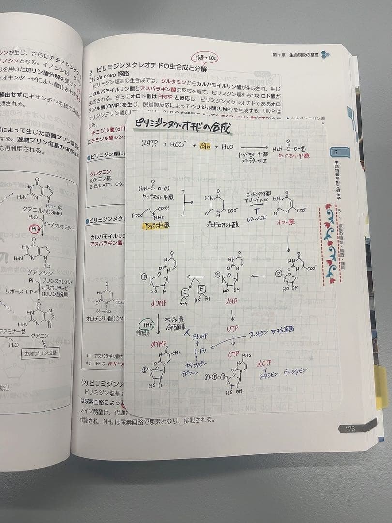 第111回薬剤師国家試験　青本　青問　書き込みあり