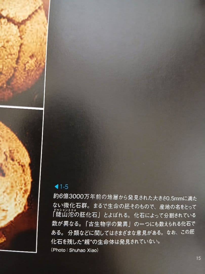 生物の歴史シリーズ 1-10巻 土屋健著