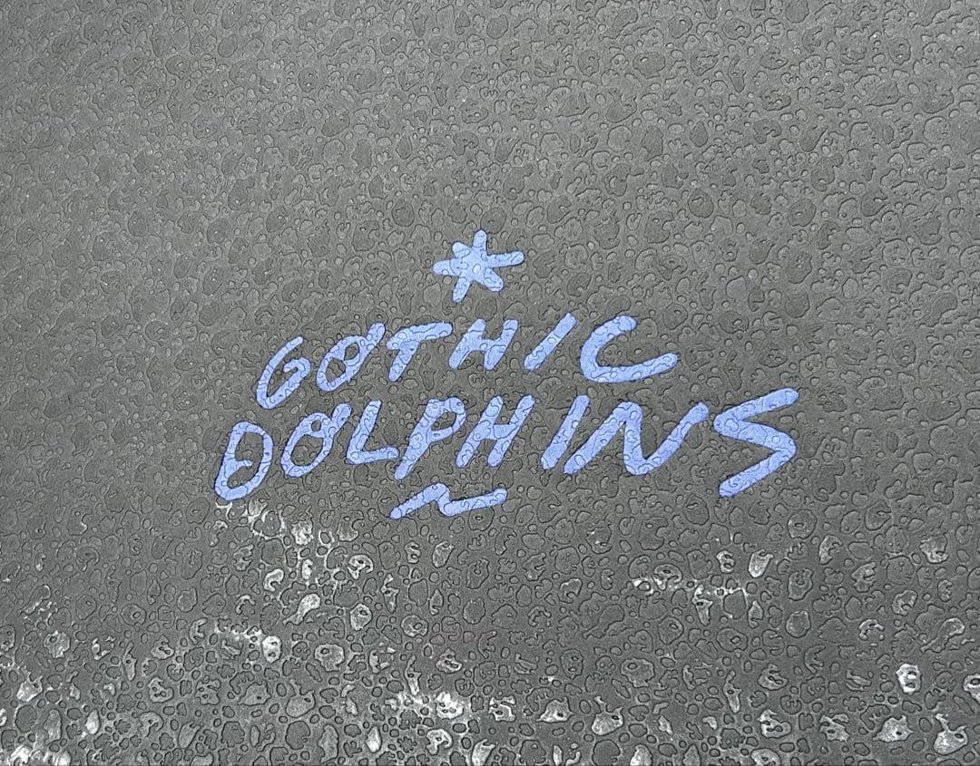 CRIME サーフボード ゴシックドルフィン　リペア履歴なし6’6fフィン付属