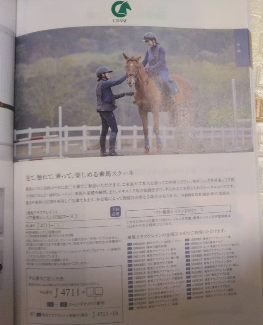 はなちゃんさま　専用　ハーモニッ