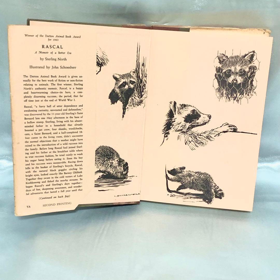 はるかなるわがラスカル 原書 RASCAL 1963年 英語版 初期刷 洋書