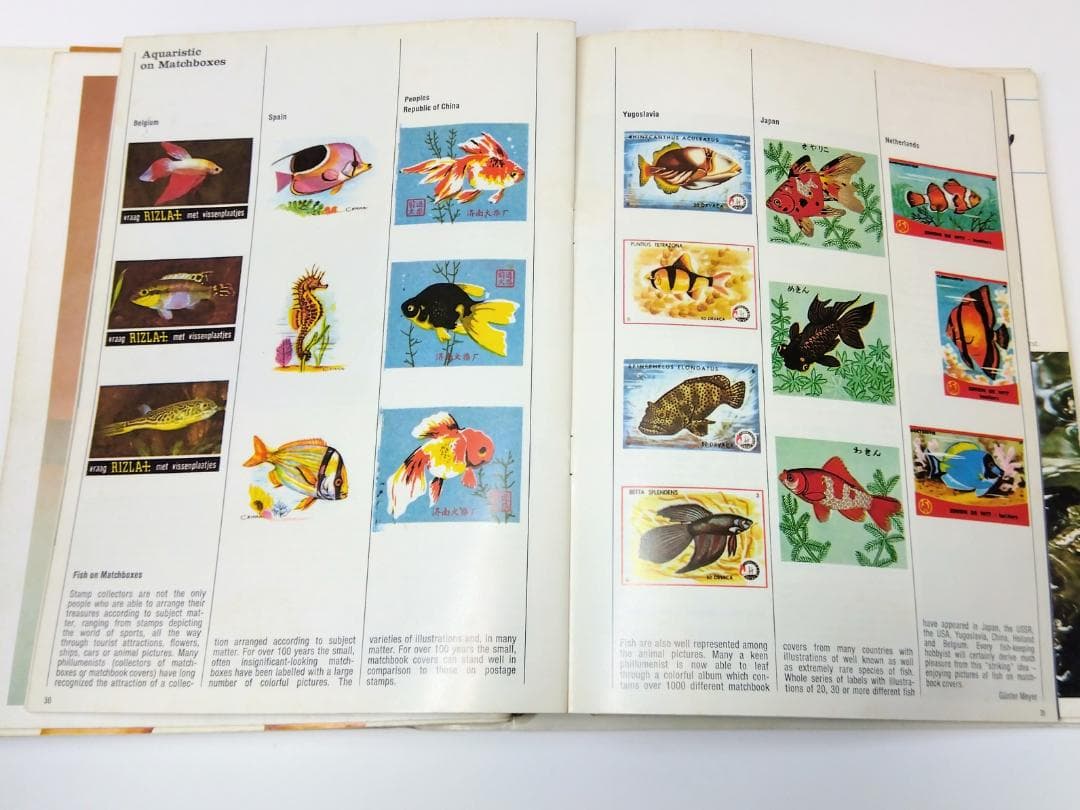 k*i様 希少古書 1972年～ テトラ 世界のアクアリウム情報誌 創刊号 No