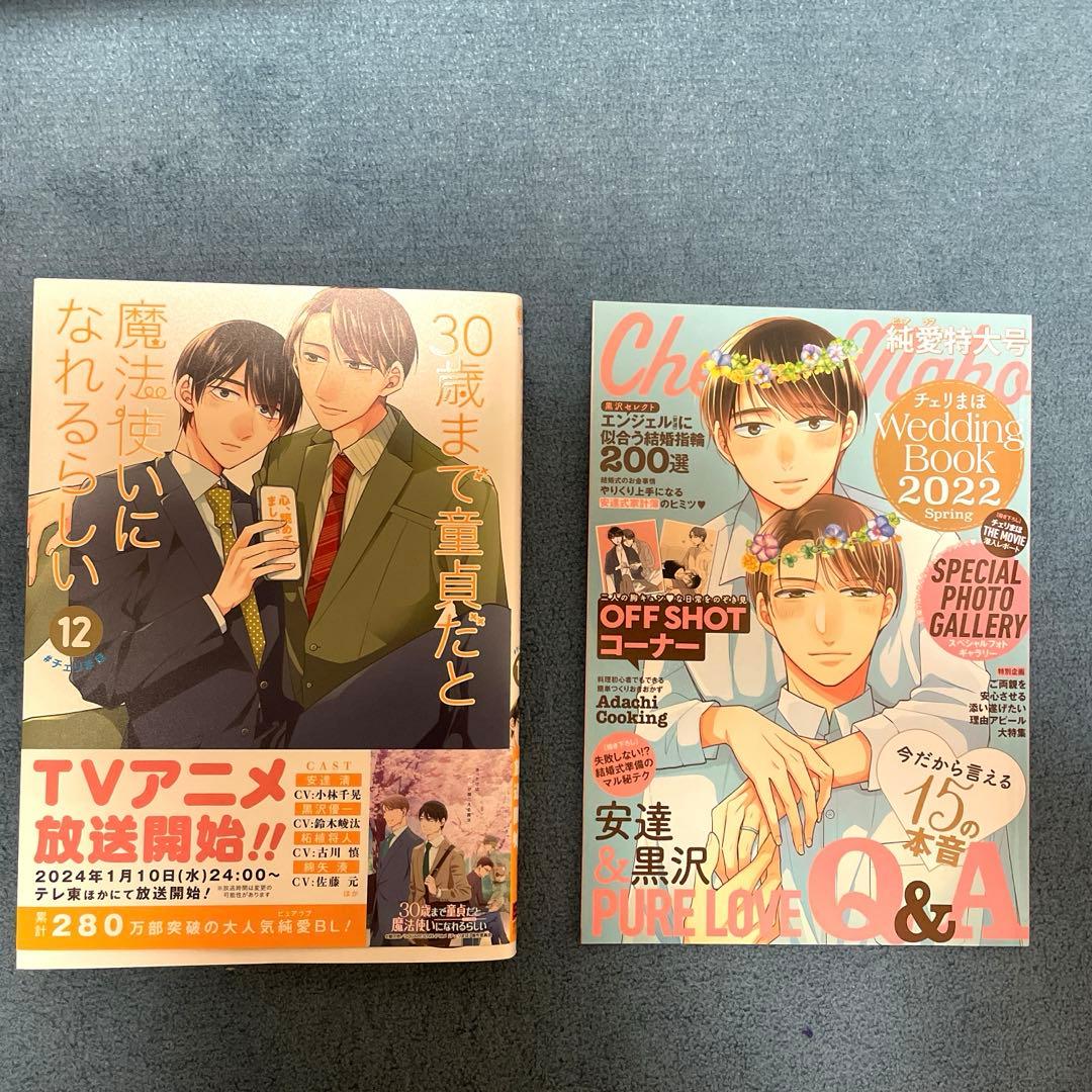 ※バラ売不可、特装版込 30歳まで童貞だと魔法使いになれるらしい 1巻〜12巻