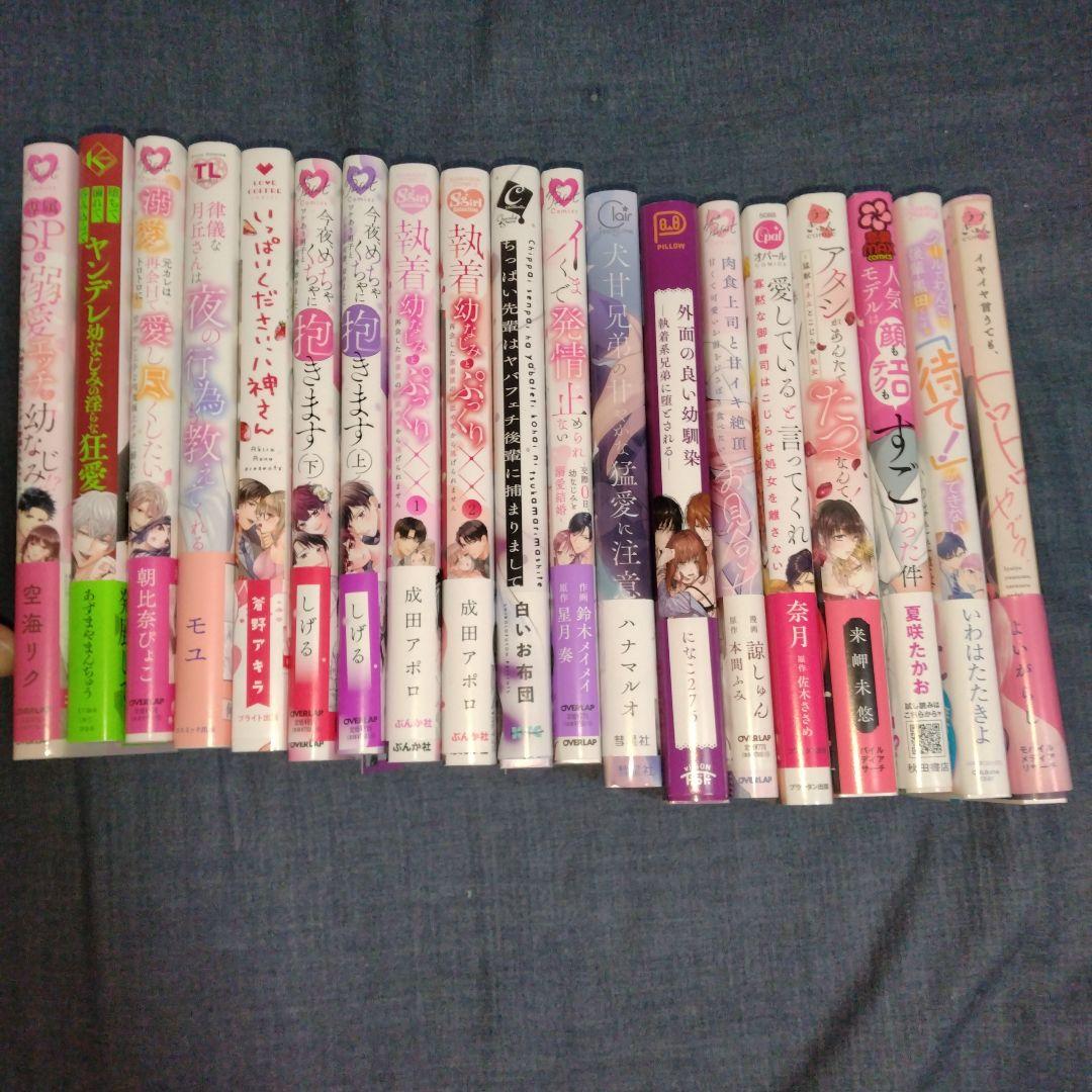 女性向け　大人の本　19冊まとめ売り