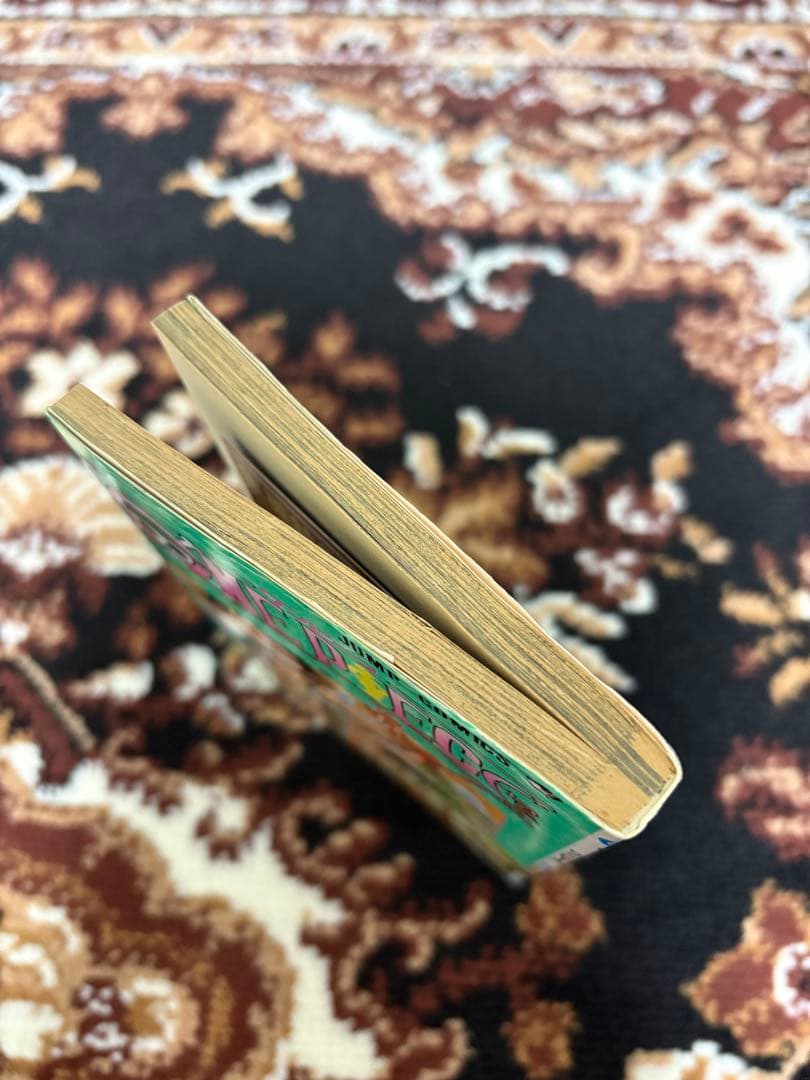 ONE PIECE　ワンピース　 9巻　初版