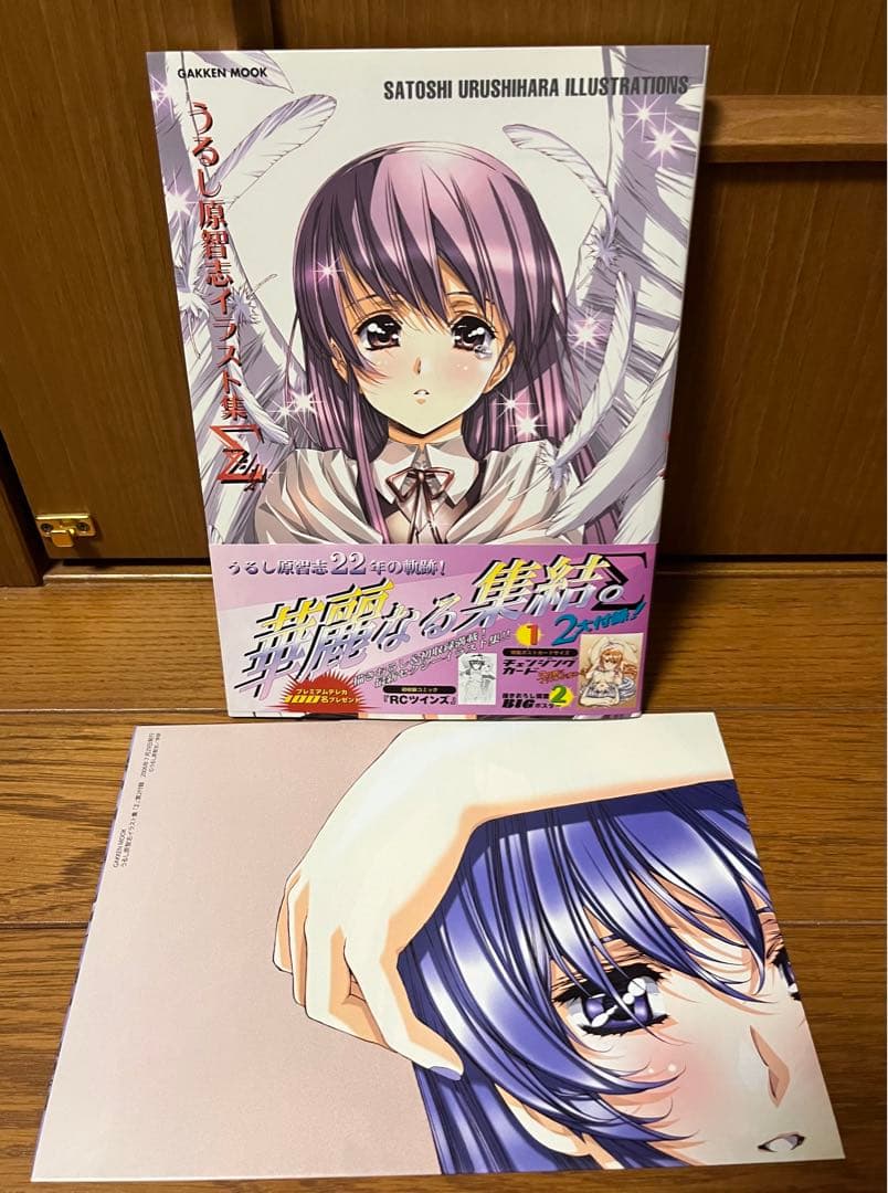 うるし原智志 イラスト集 Σ & 麗裸&うるし原智志MAGAZINE❶3冊セット