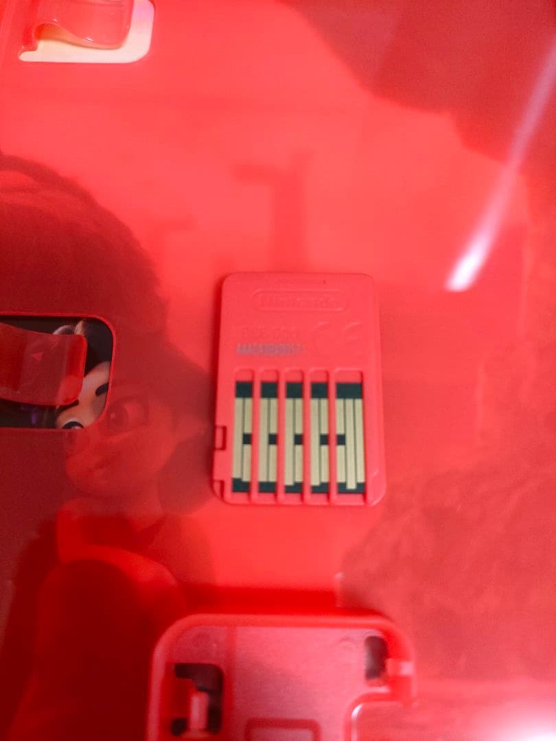 ドンキーコング バナンザ　DONKEY KONG BANANZA Switch2