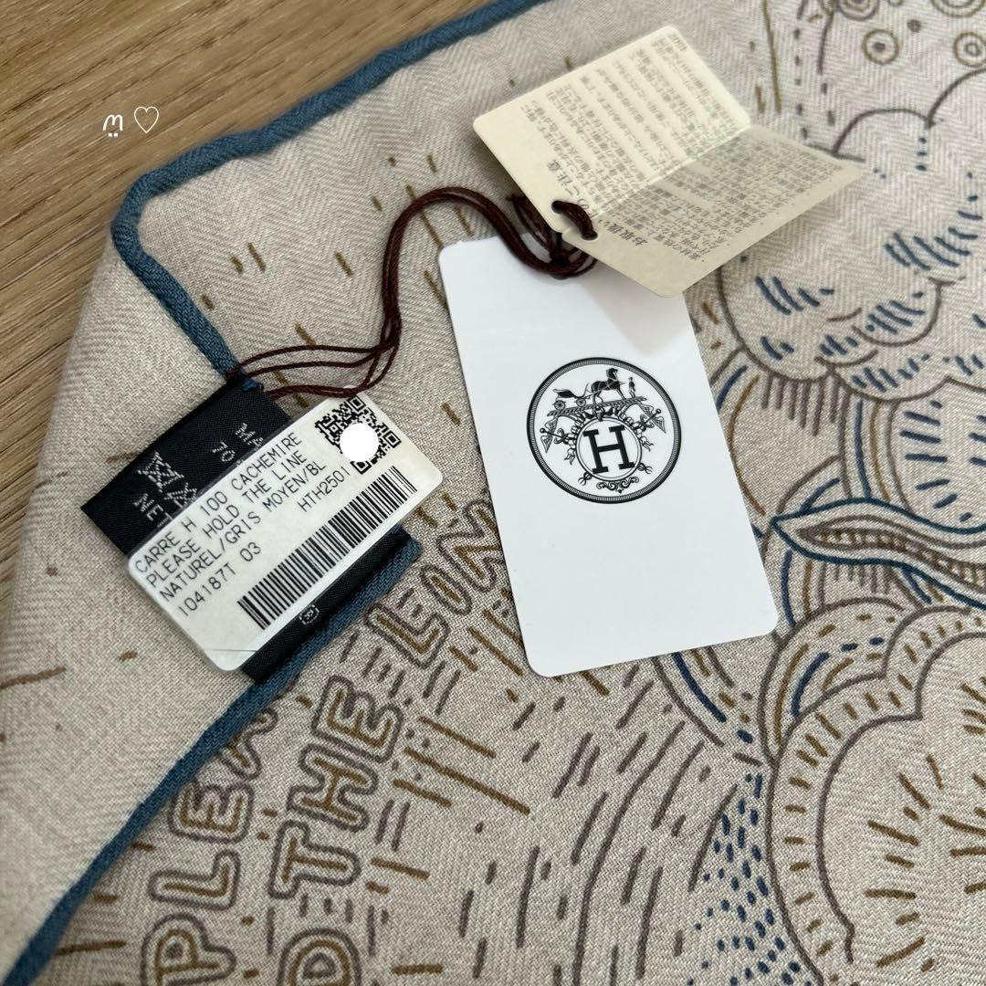 HERMESエルメス　カレH100　プリーズホールドザライン　カシシル　スカーフ