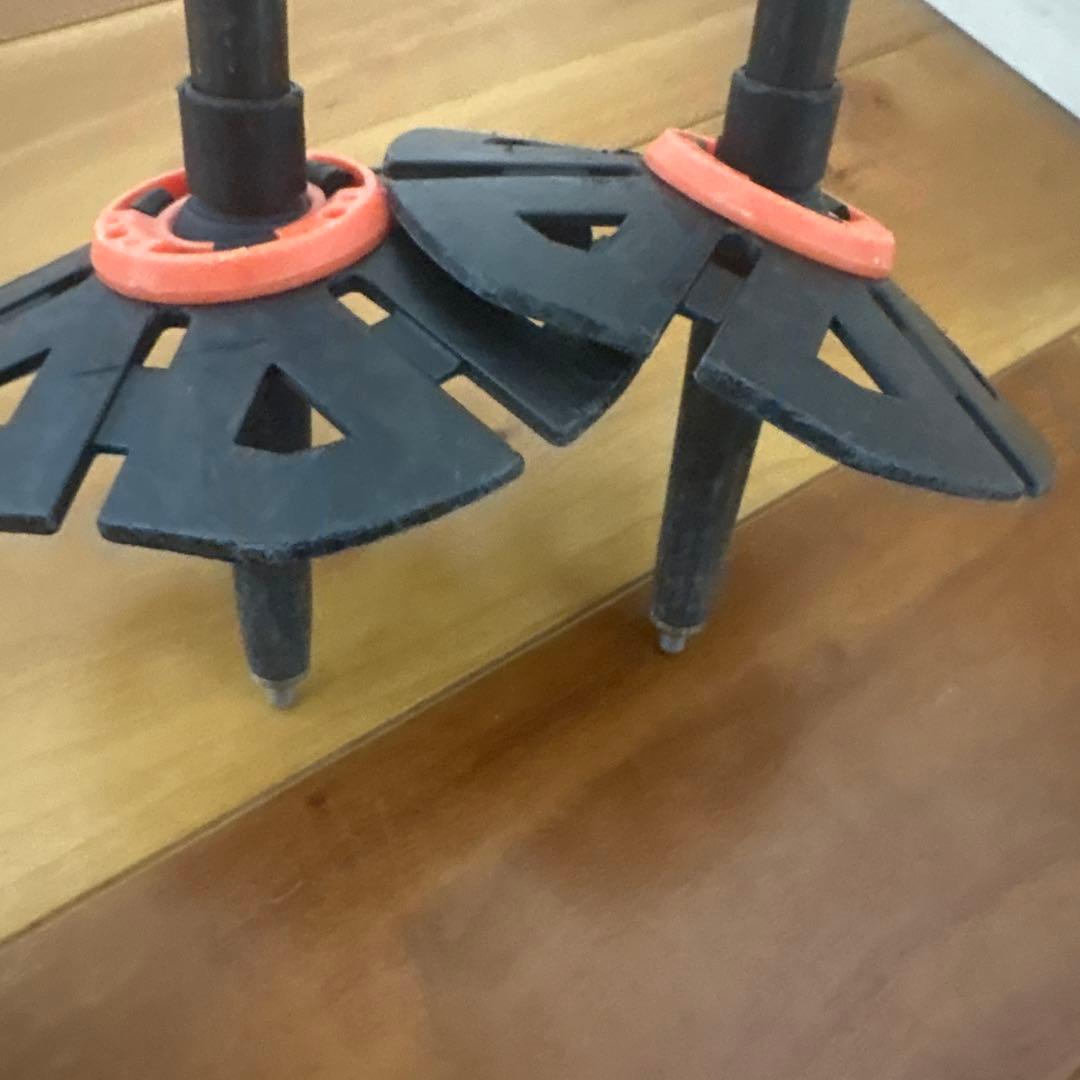 サロモン スキー　ストック　バックカントリー　パウダー