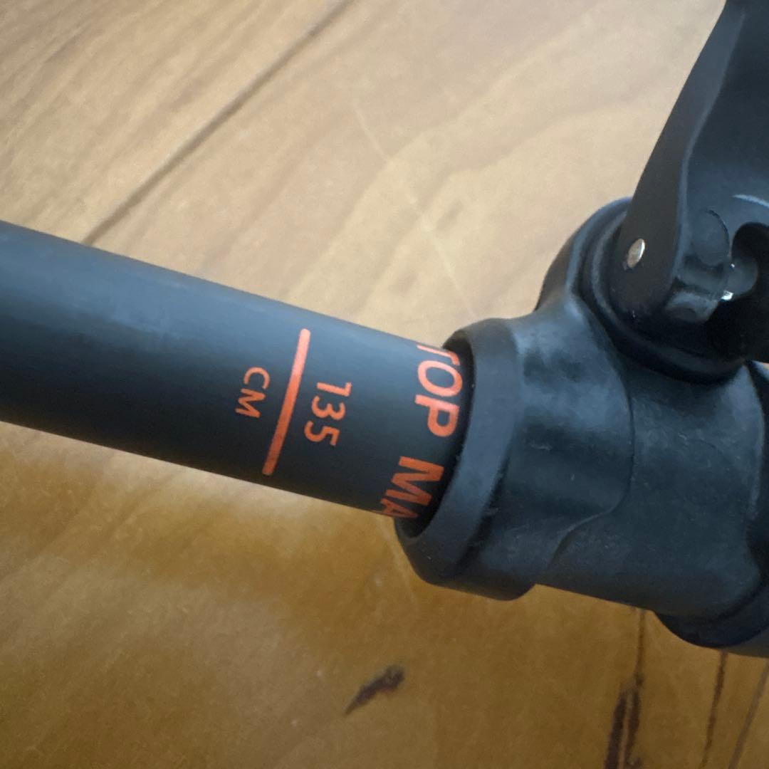 サロモン スキー　ストック　バックカントリー　パウダー