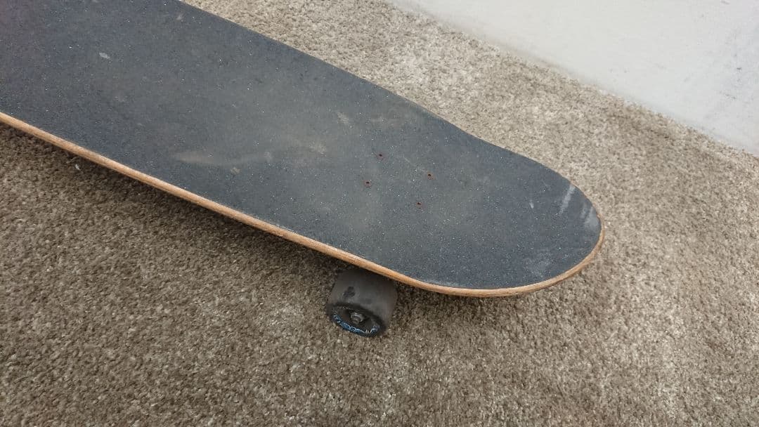 CARVER VENICE スケートボード