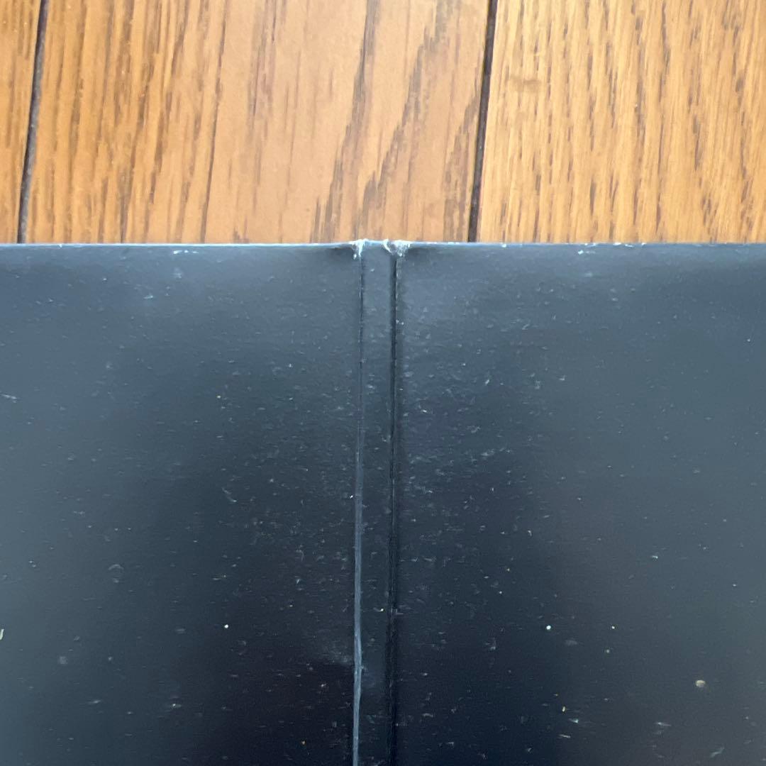 Aphex Twin Ventlin 2枚組み 12インチEP