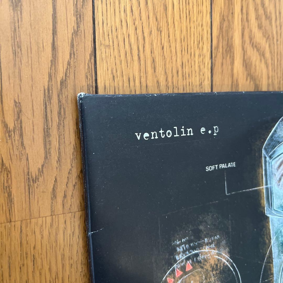 Aphex Twin Ventlin 2枚組み 12インチEP