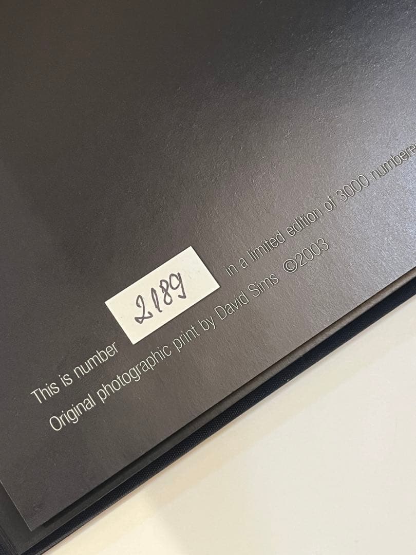 VISIONAIRE 40 DAVID SIMS / ROSES サイン本