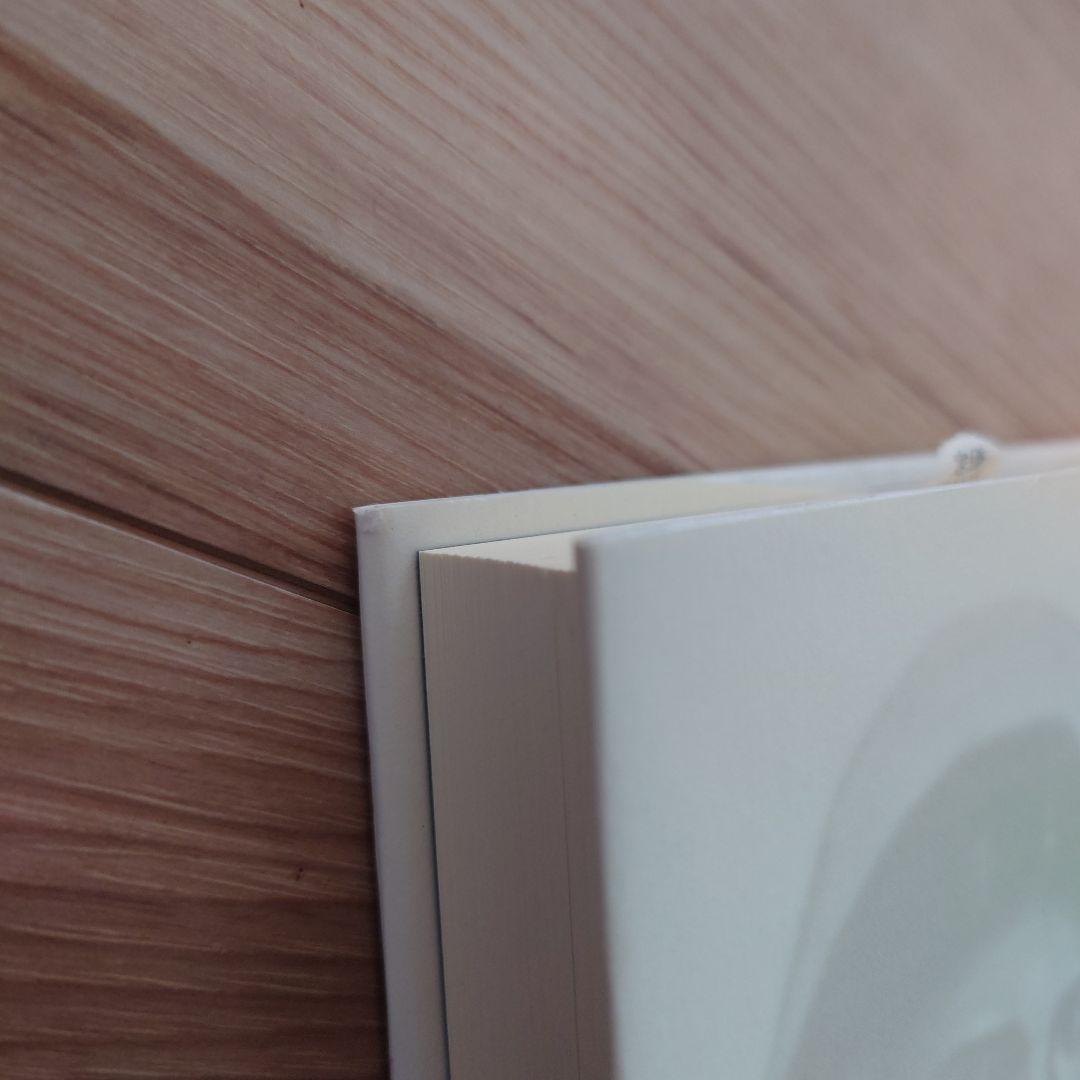 マグダラのマリアによる福音書 イエスと最高の女性使徒