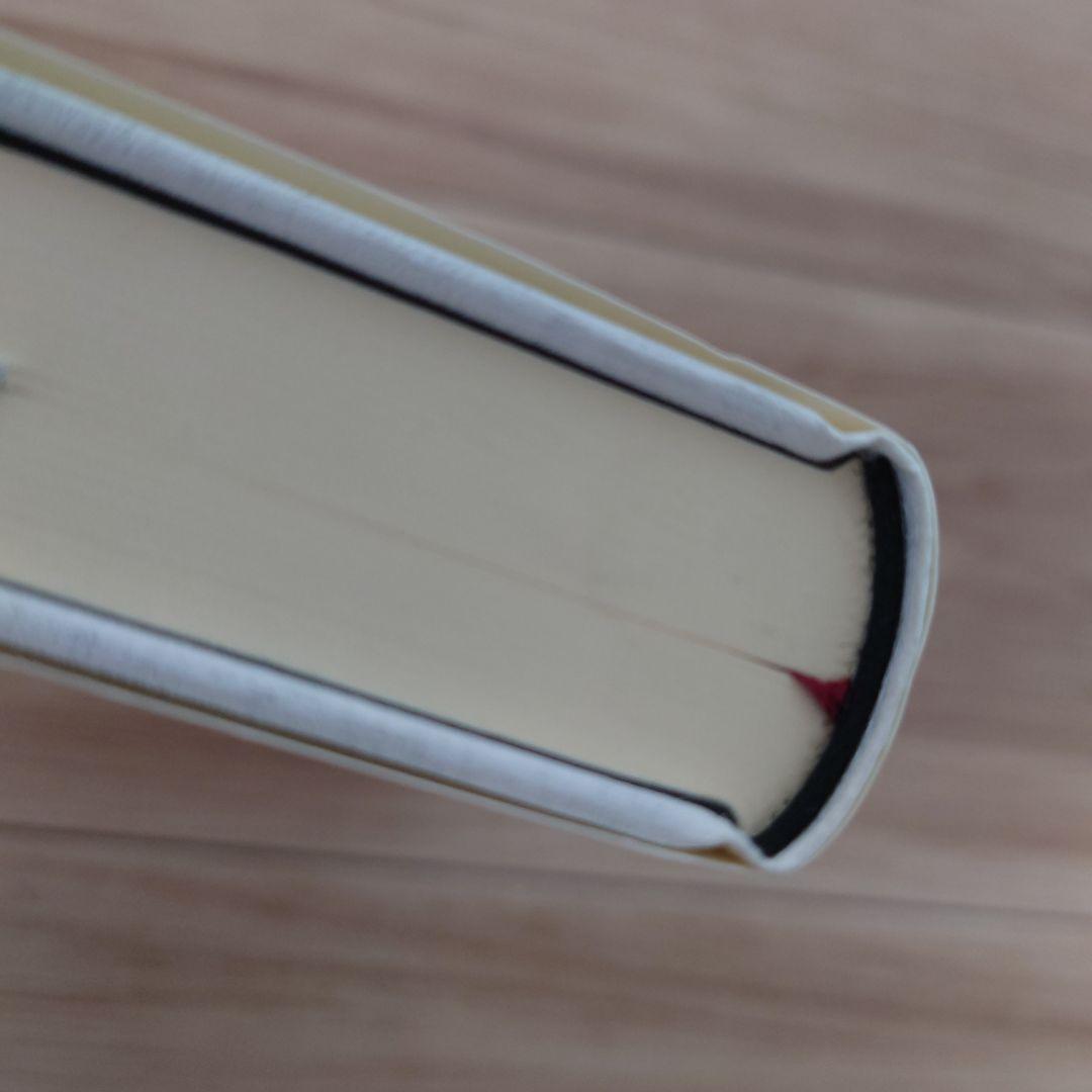 マグダラのマリアによる福音書 イエスと最高の女性使徒