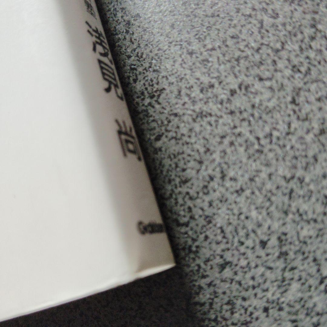 スーパー理系数学 図形問題・微分・積分編　1998年発行初版 浅見尚 絶版　希少