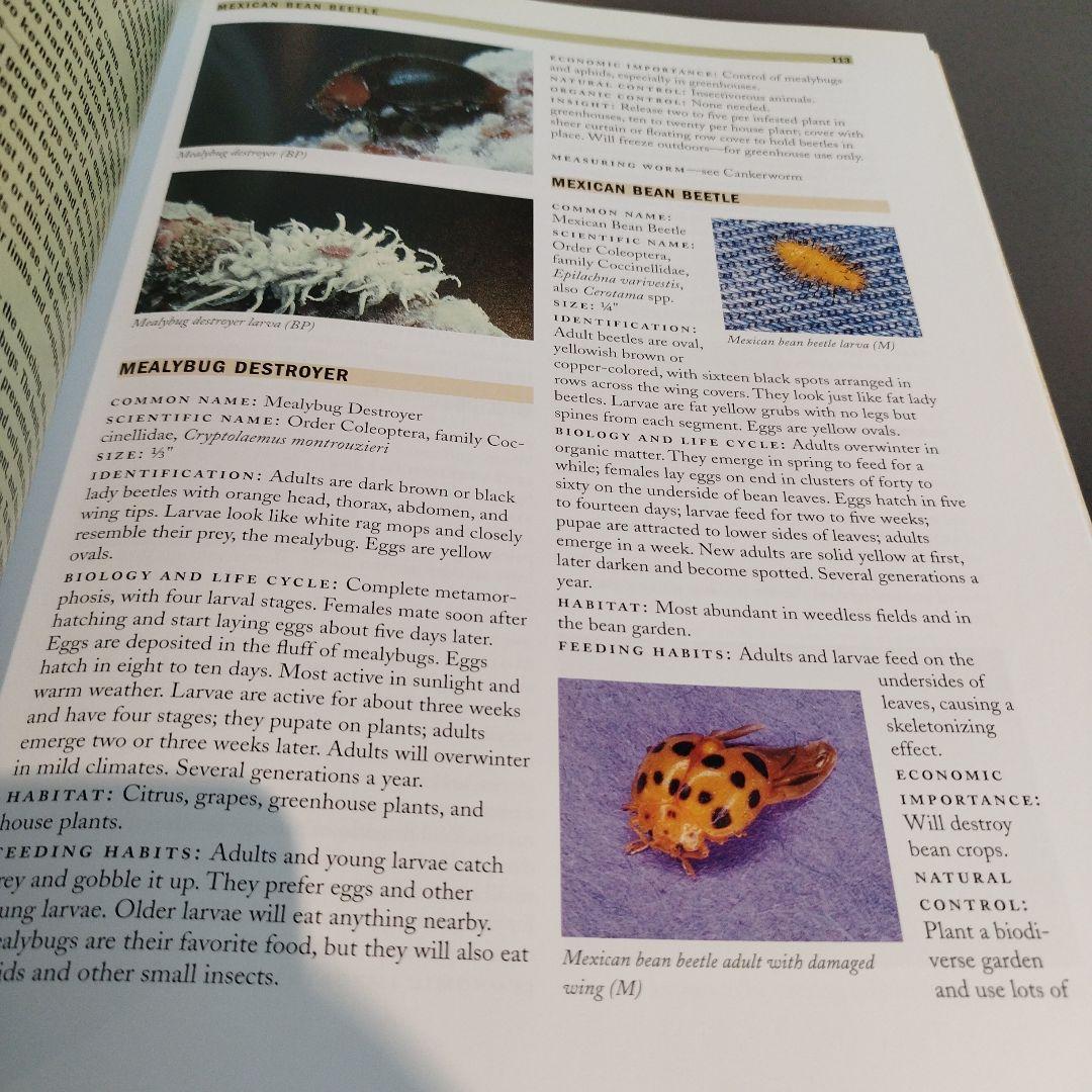 TEXAS BUG BOOK GOOD BAD UGLY 2005年の改訂版