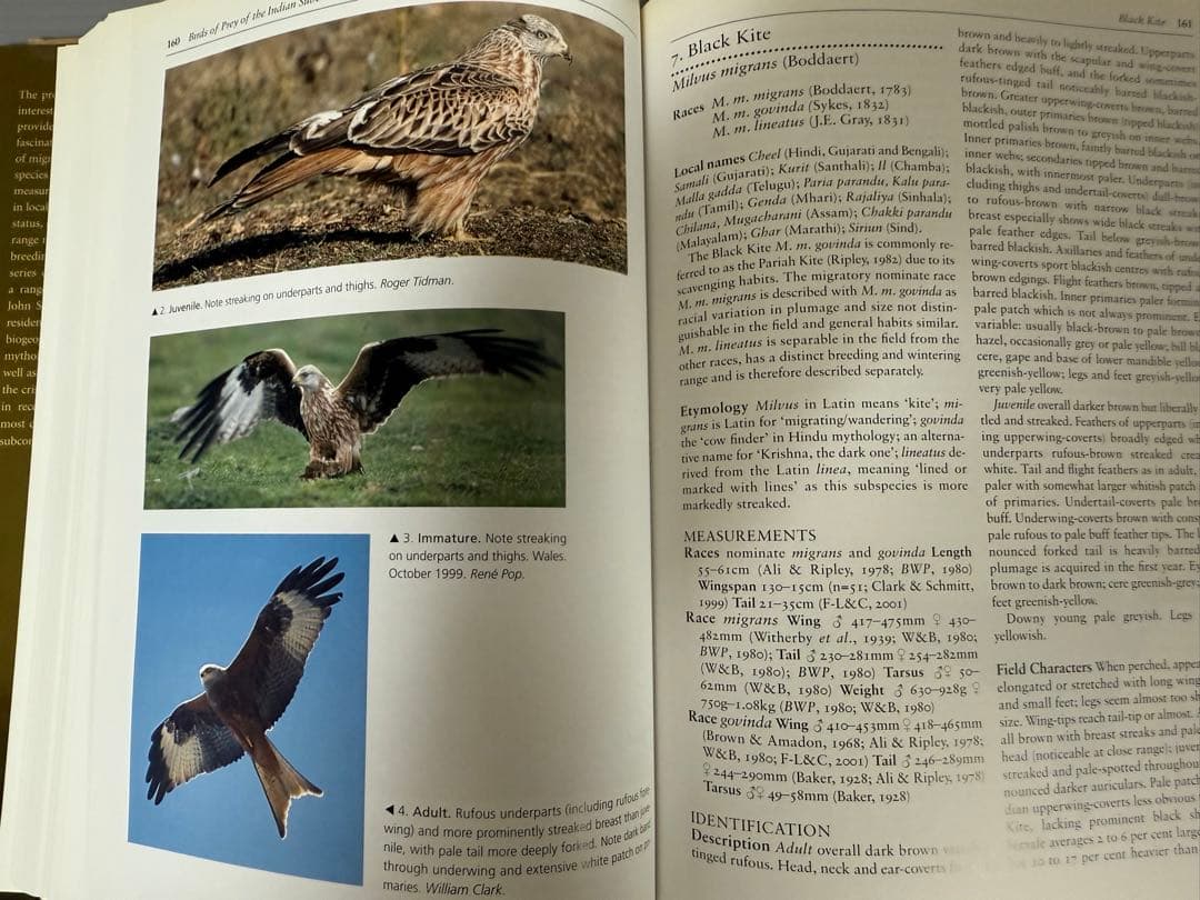 洋書 BIRDS OF PREY OF THE INDIAN SUBCONTINENT