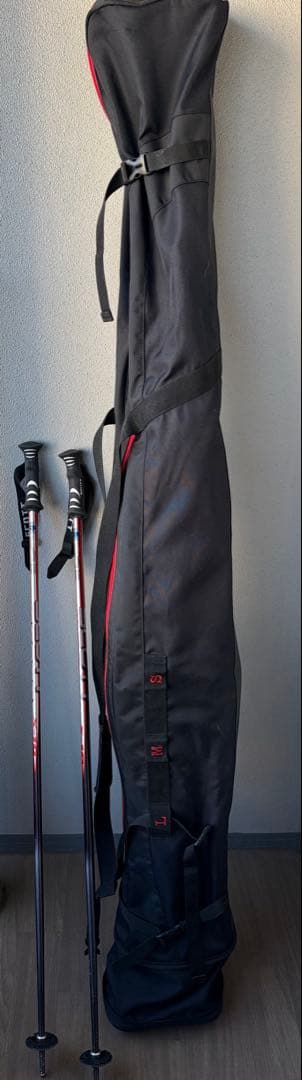 amplid antidogma ski フリースタイル オールラウド