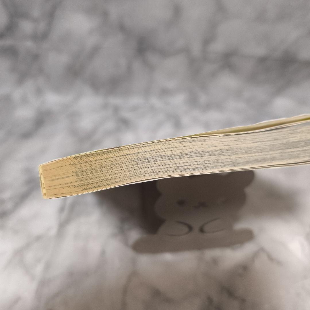 たびしカワラん!! アフターゴッド 他24冊 セット★江野スミ 江野朱美 小学館