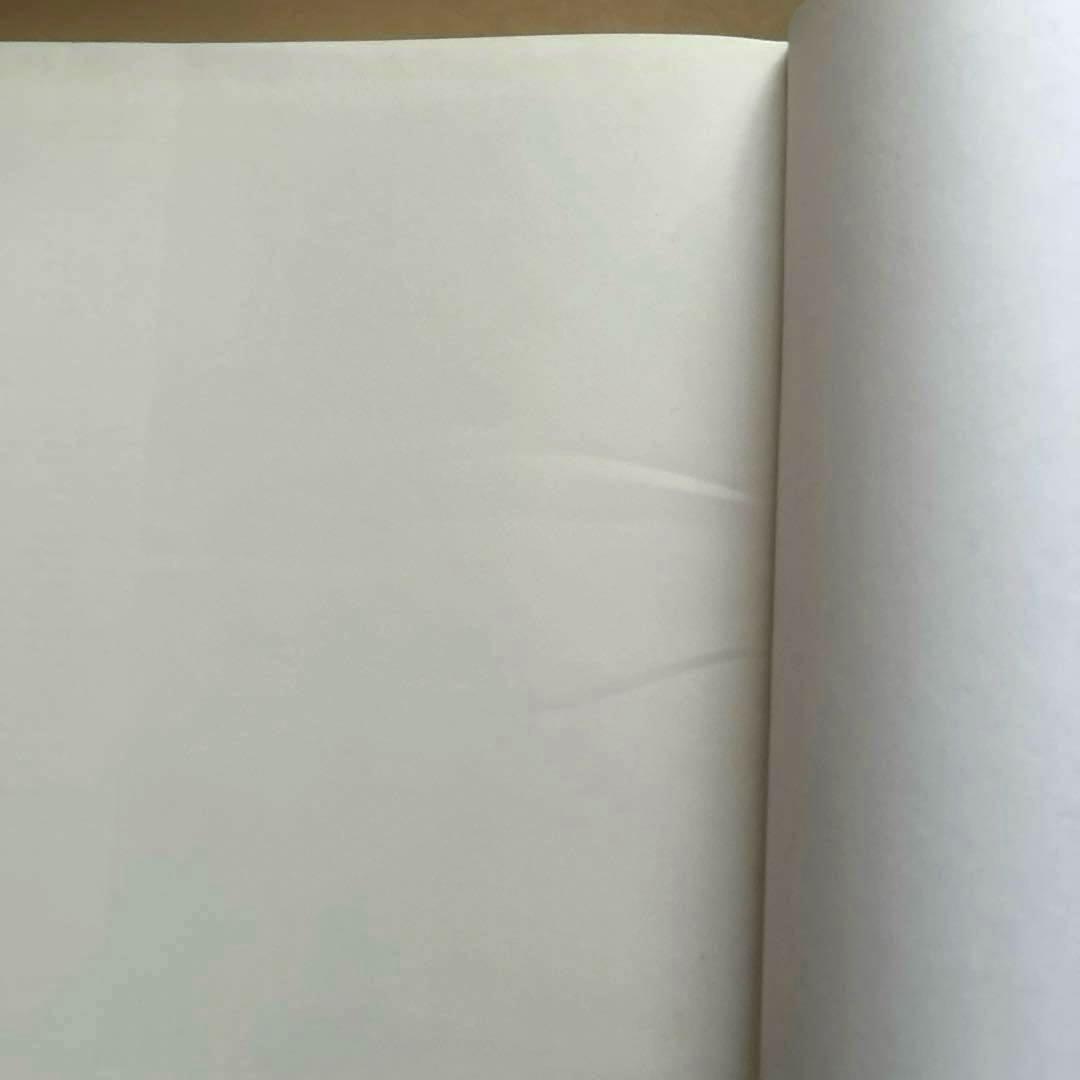 Atget : Paris in Detail ハードカバー