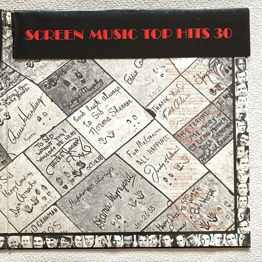 Various - Screen Music Top Hits 30　レコード
