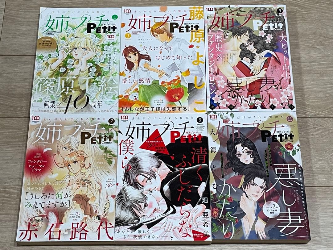 姉系プチコミック 2022年1・3・5・7・9・11月号増刊