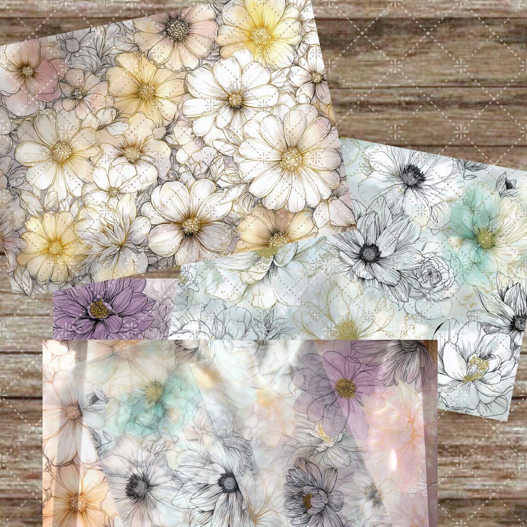 あんころもち⋈ *。