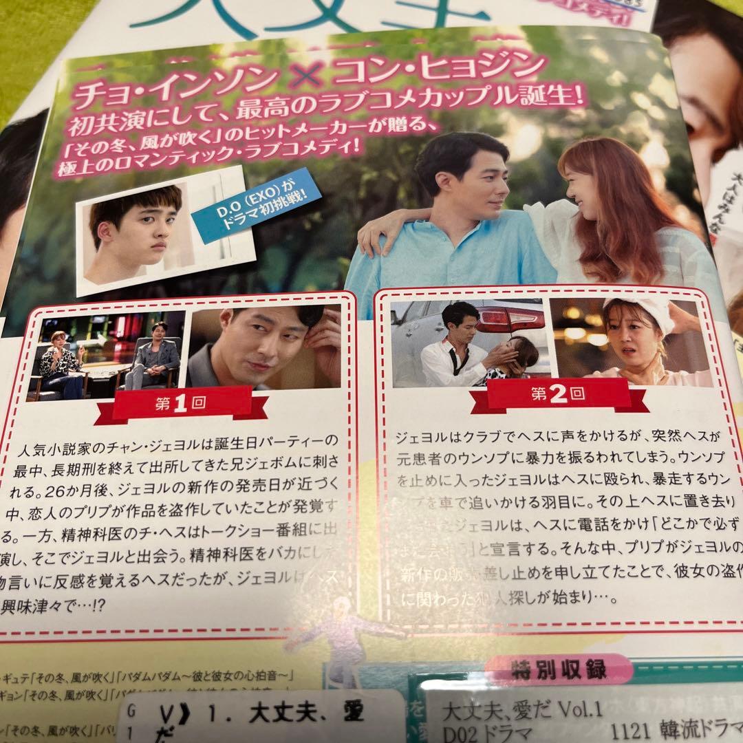 韓国ドラマDVD【大丈夫、愛だ】【全話】【レンタル落ちDVD】