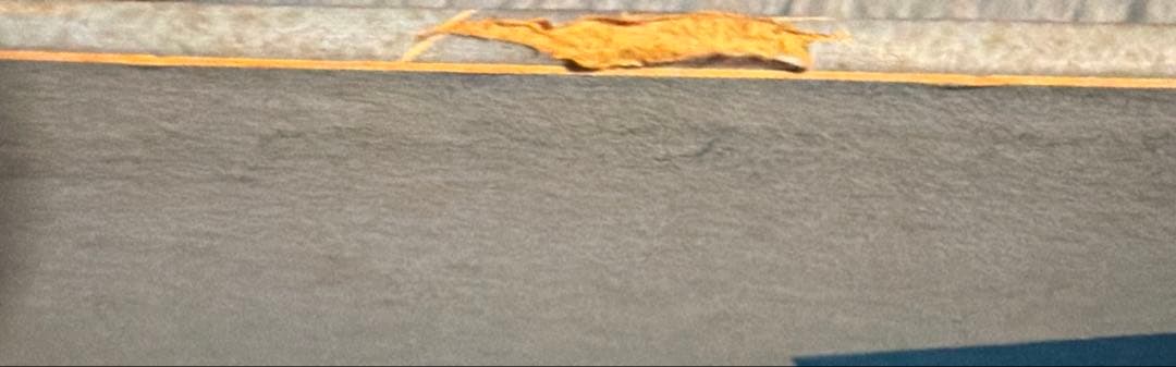 洋楽 The Detroit Escalator Co.Black Buildings