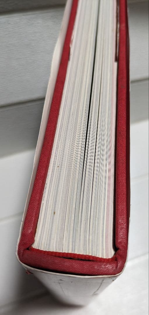 【ガウディ】建築写真集※ダメージあります