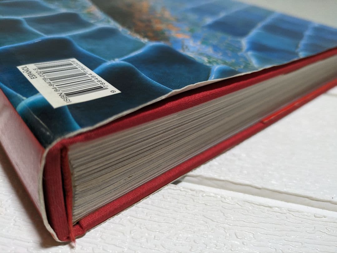 【ガウディ】建築写真集※ダメージあります