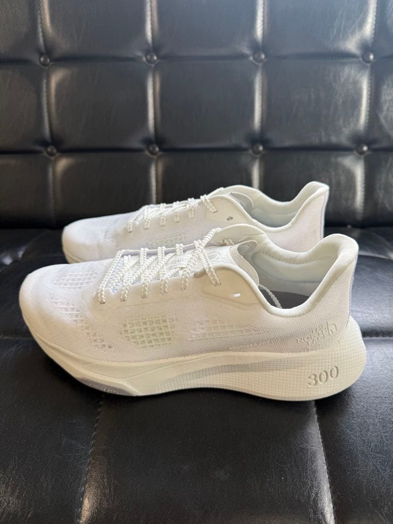 美品！THE NORTH FACE Altamesa300 26.0cm