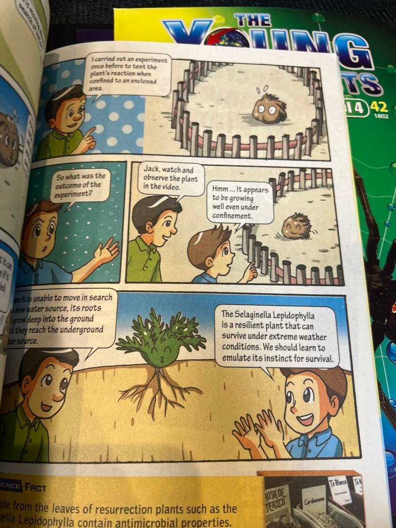 シンガポール雑誌　young scientists level 4 10冊