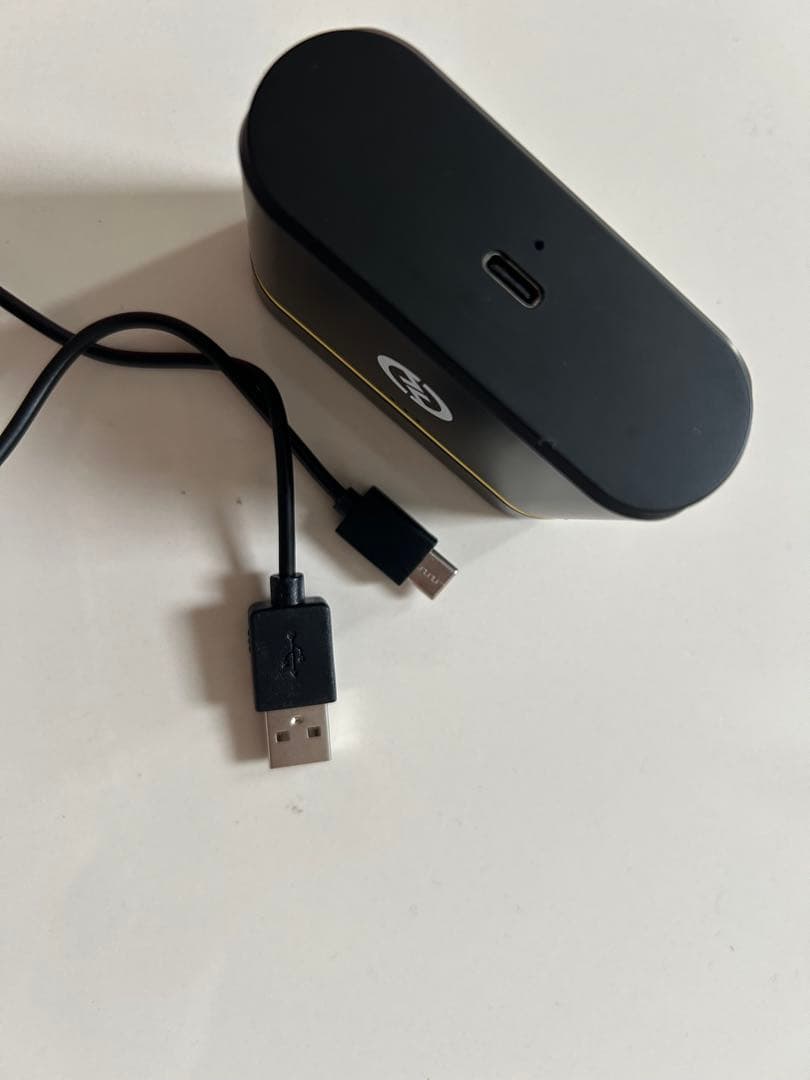 HollylandホーリーランドワイヤレスマイクLARK C1 充電