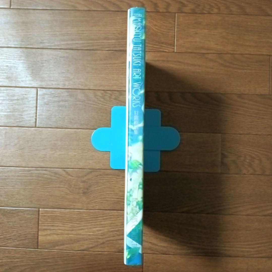 限定版　AMADUYU TATSUKI ART WORKS 甘露樹 画集