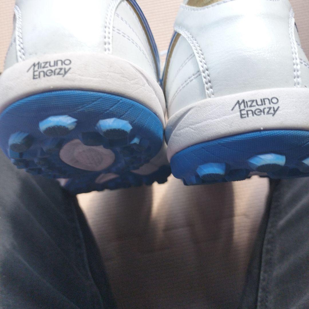 週末限定値下げ　モレリアサラジャパン　 25cm