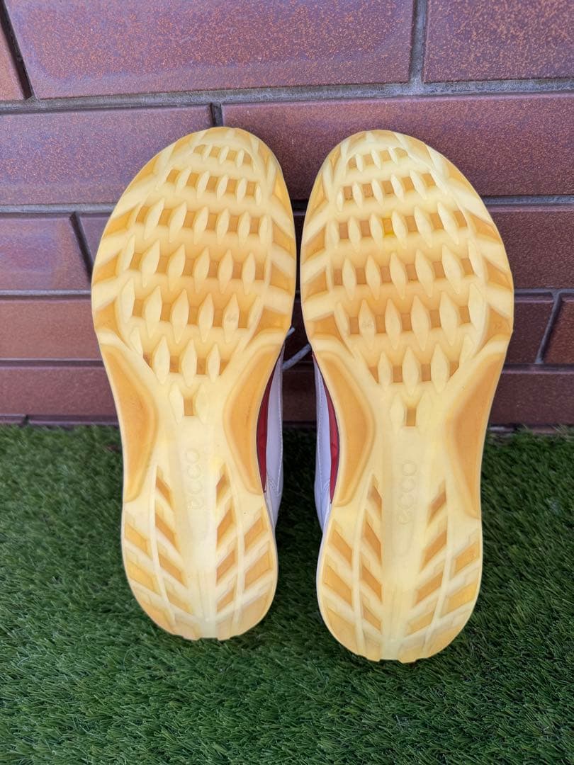 ECCO ゴルフシューズ　biom c4 メンズ