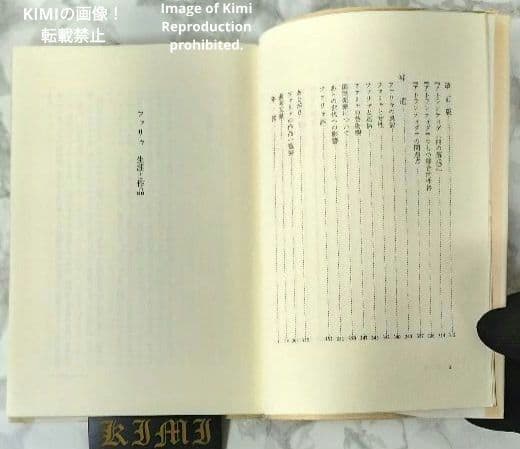 ファリャ 生涯と作品 本 1987/10/1 興津 憲作 初版 第1刷発行