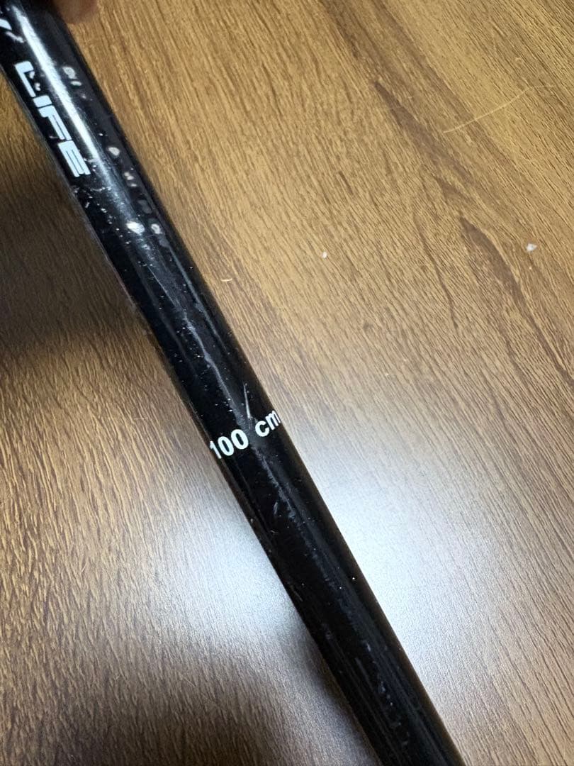 Fischer ツインチップ135 ジュニアフリースタイル