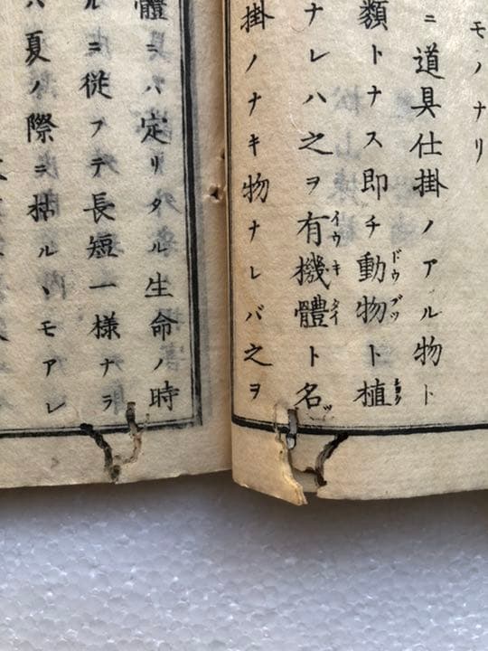 初学人身窮理　上下巻　人体骨図入　明治14年　松山氏版