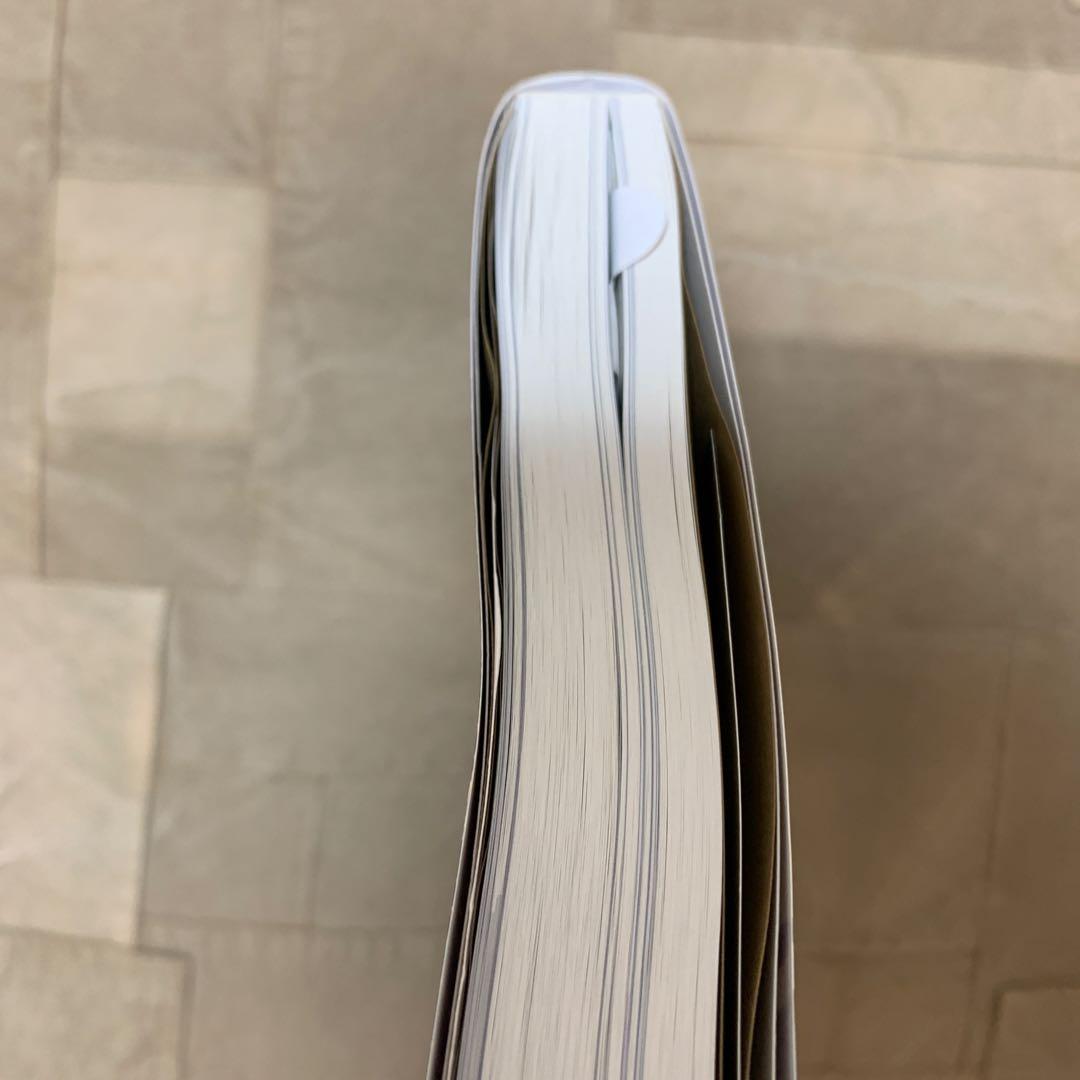 虹の橋渡りつづけて : 宝塚歌劇100年史 舞台編