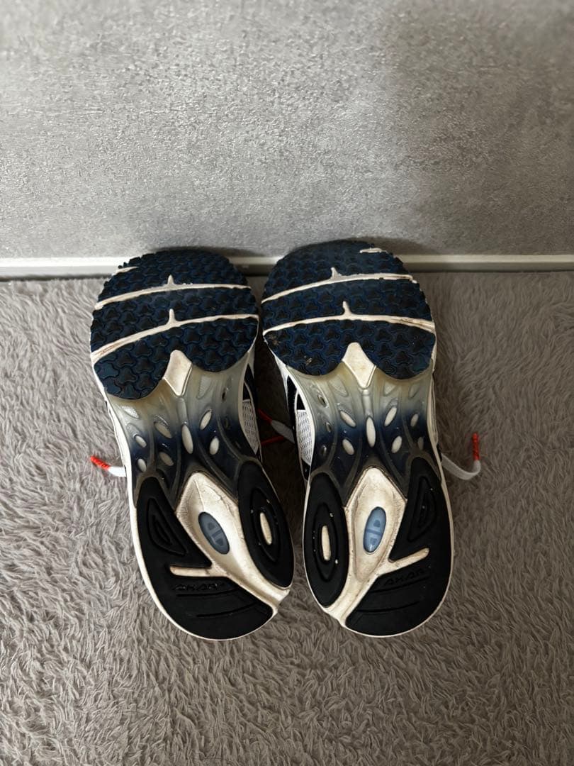 asics ターサージャパン　25.5