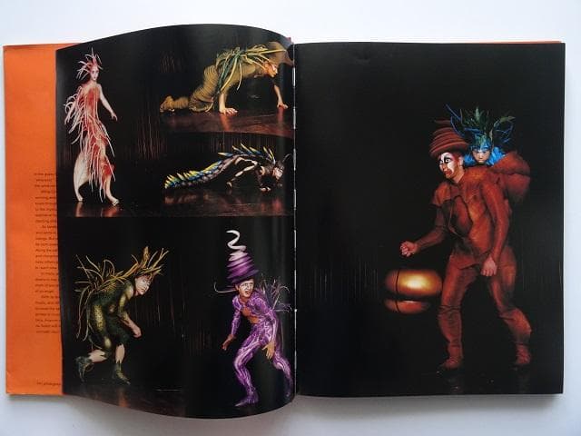 洋書◆シルク・ドゥ・ソレイユ VAREKAI バレカイ写真集 本 ミュージカル