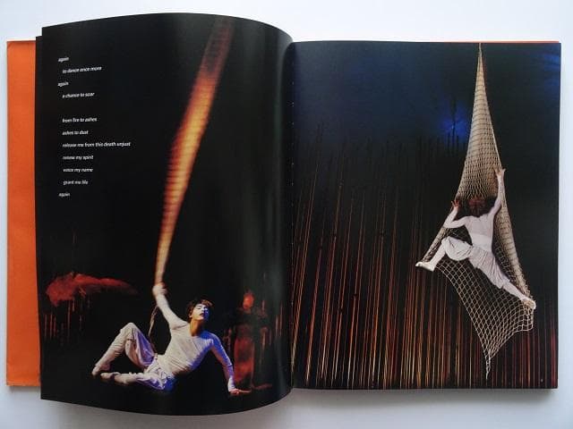 洋書◆シルク・ドゥ・ソレイユ VAREKAI バレカイ写真集 本 ミュージカル