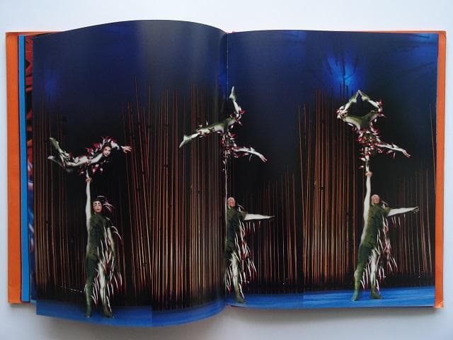 洋書◆シルク・ドゥ・ソレイユ VAREKAI バレカイ写真集 本 ミュージカル