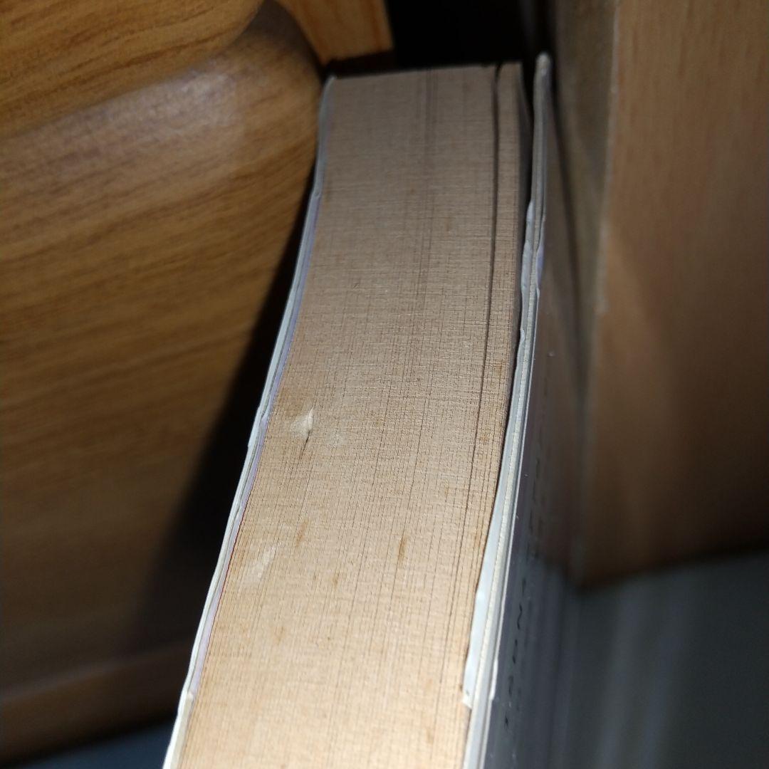 センチメンタルグラフティ―再会+(プラス) 大倉 らいた (著) jg00